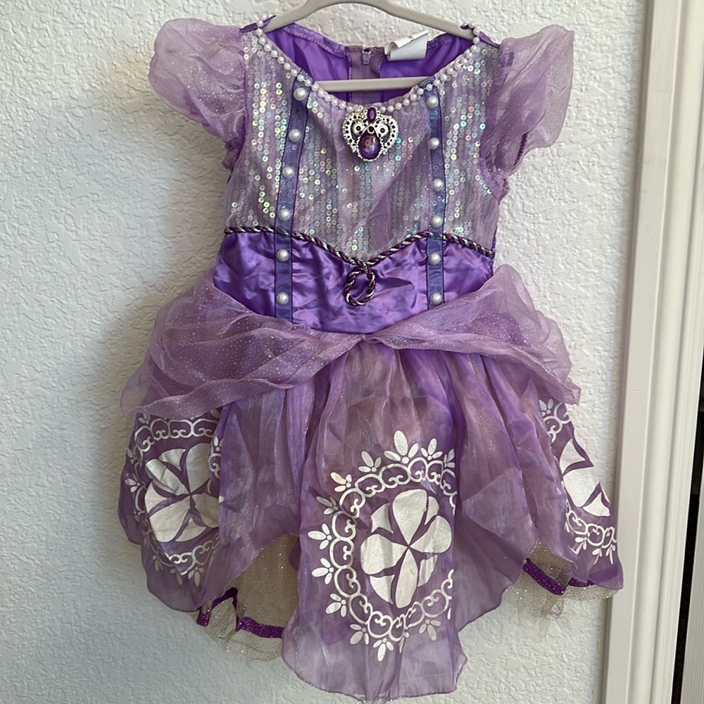 Princess Sofia costume dress